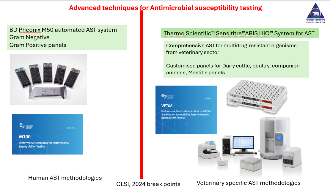 Slide 11